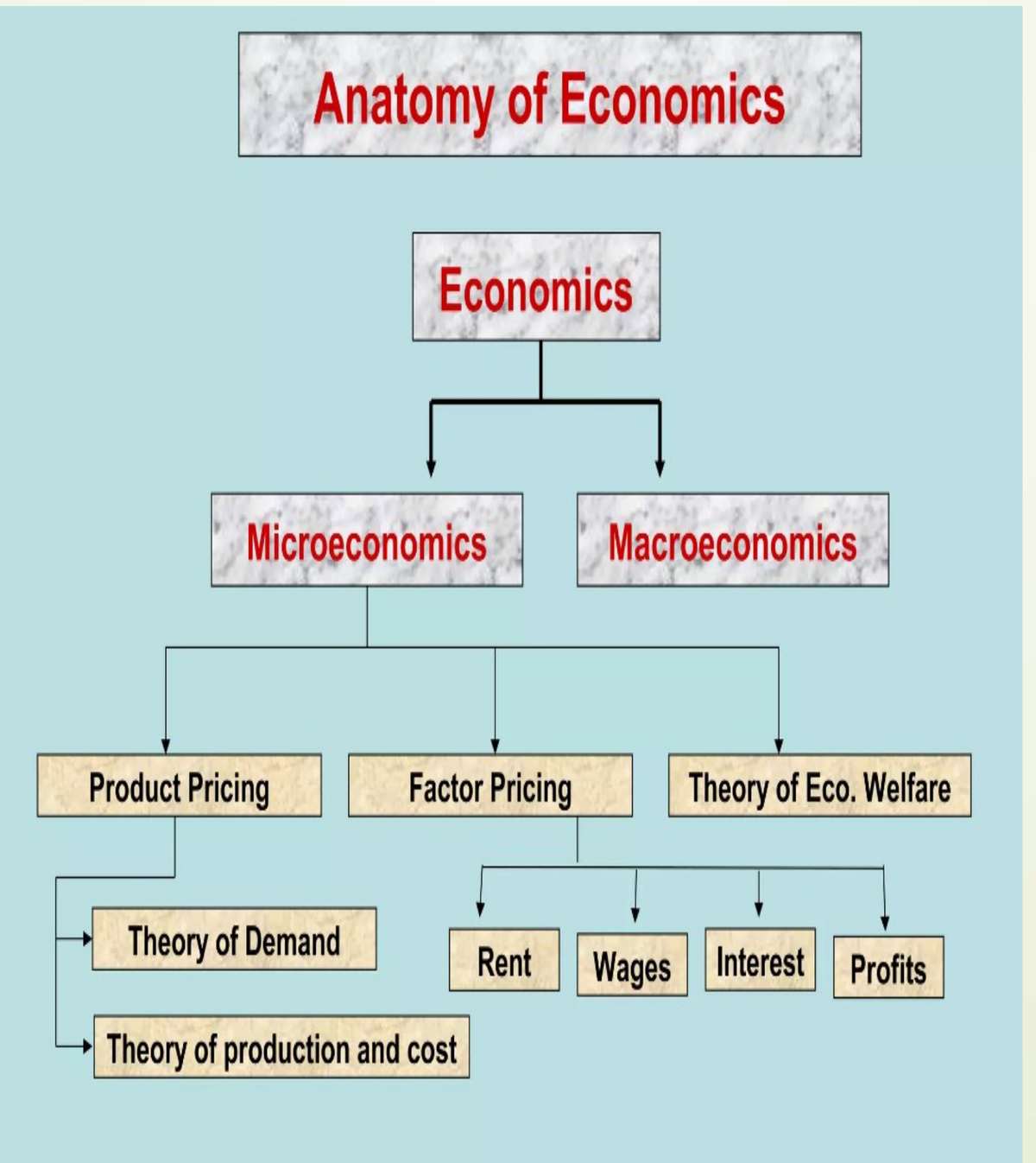 Tree diagram: Economics splits into Microeconomics and Macroeconomics; Microeconomics branches into Product Pricing, Factor Pricing and Theory of Economic Welfare, which branch further into Theory of Demand, Theory of Production and Cost, and Rent, Wages, Interest and Profits